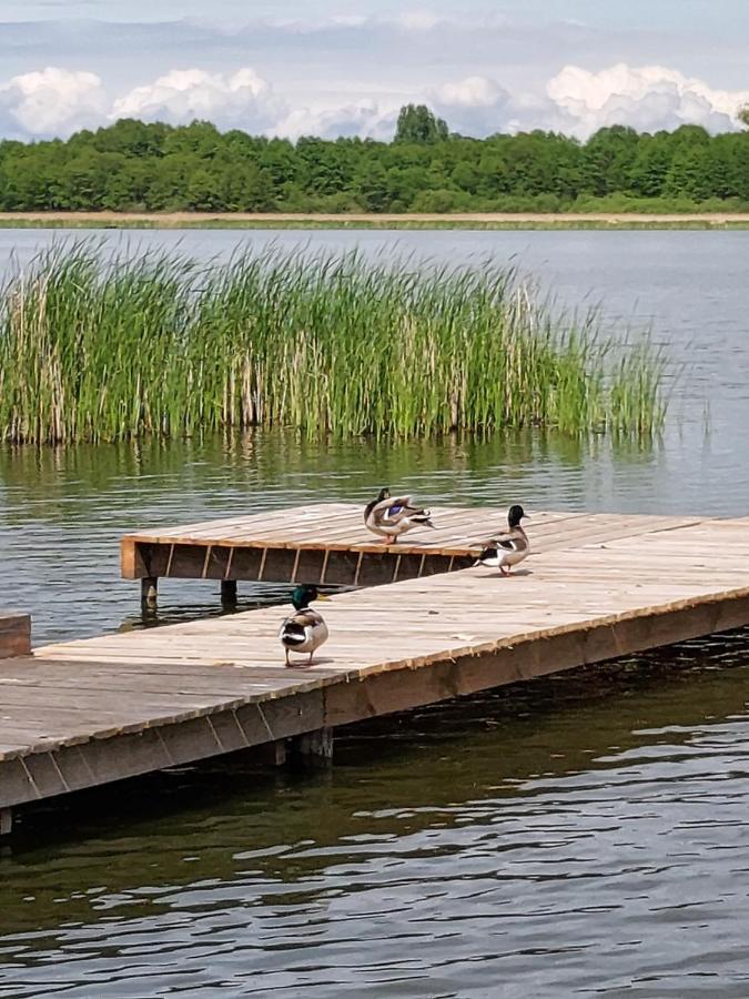 Domki Lawendowy Zakatek Boszkowo Luaran gambar